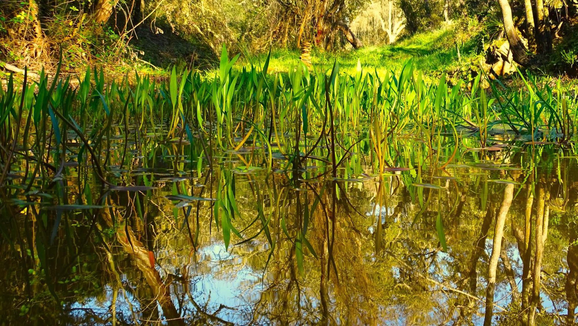 Herdade Vale De Gaios By Stay In Alentejo São Luis Exteriér fotografie
